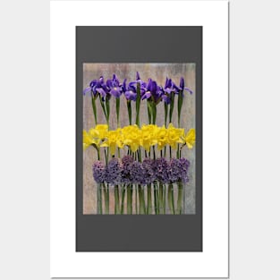 Spring Delights Posters and Art